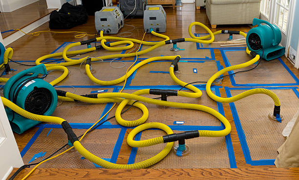 Professional Water Damage Restoration technician working in Buffalo, WY
